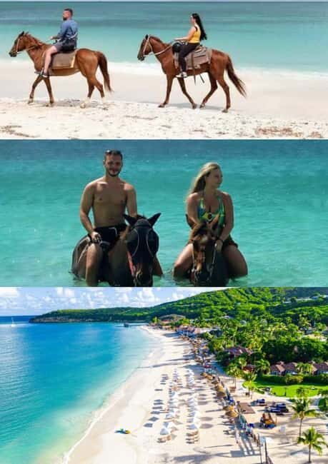 St. Johns: Horseback Riding Bareback Swim, &Fort James Beach - The Sum Up