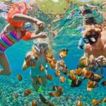 St.Maarten Nature, Hike & Snorkeling - Authentic Insights from Reviewers