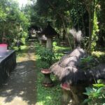 Stingless Bee Honey Farm and Beekeeping Tour - A Closer Look at the Itinerary