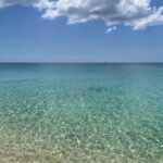 Stingray City and Seven Mile Beach Adventure Tour - Who Will Love This Tour?