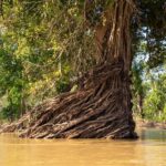 Stung Treng: 3 Nights Mekong River Boat Cruises and Kayaking - What We Think Could Be Improved