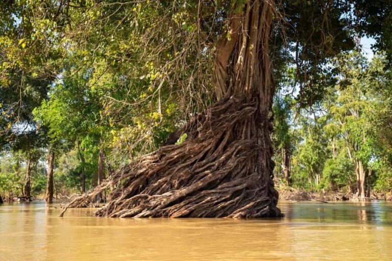 Stung Treng: 3 Nights Mekong River Boat Cruises and Kayaking - What We Think Could Be Improved  
