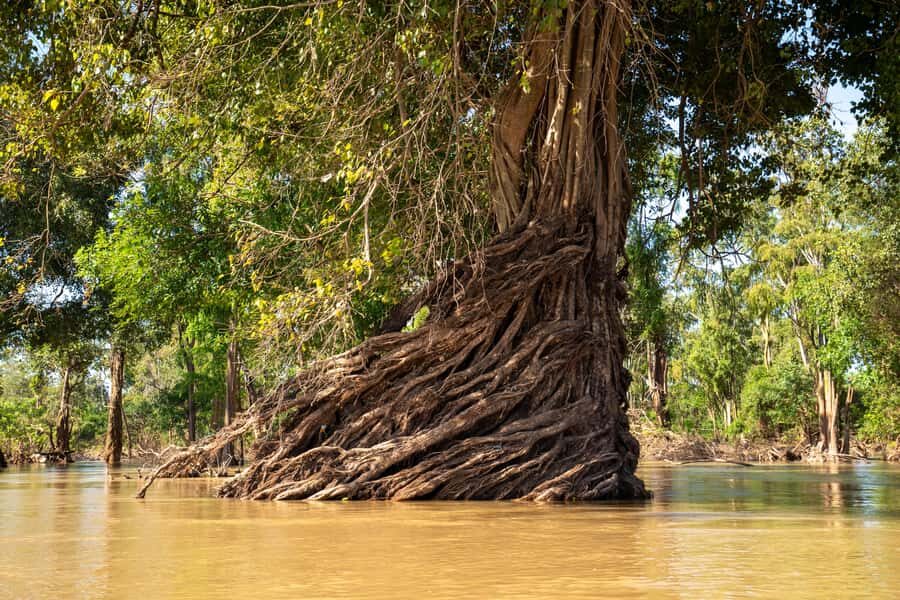 Stung Treng: 3 Nights Mekong River Boat Cruises and Kayaking - What We Think Could Be Improved  