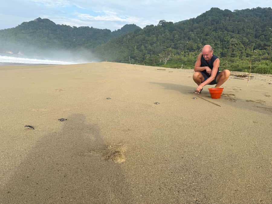 Sukamade: Turtle Expedition & MeruBetiri Jungle Adventure - An Authentic 2.5-Day Eco-Experience