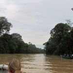 Sukau Rainforest Wildlife and Dawn Cruises Tour in Sandakan - A Deep Dive into the Experience