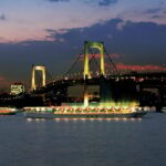 Sumida River: Japanese Traditional Yakatabune Dinner Cruise - What Makes This Experience Stand Out