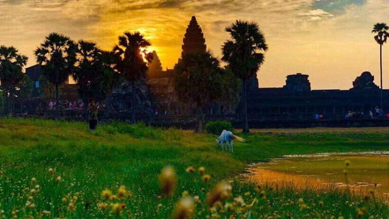 Sunrise Cycling Of Angkor Wat Temple - Practical Details & Considerations