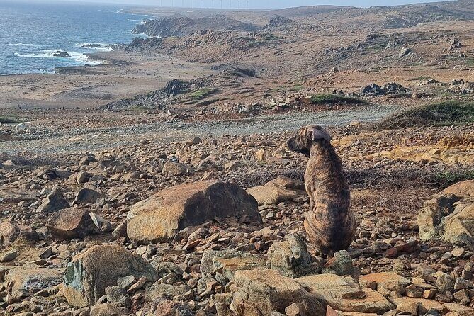 Sunrise Hike and Beach Meditation to Rancho Curason - Authentic Experiences and Real-World Tips