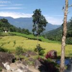 Sunrise in Darjeeling - Authentic Experiences from Reviews