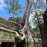 Sunrise Shared Tour in Angkor from Siem Reap - Details About the Tour