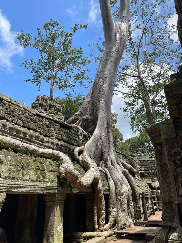 Sunrise Shared Tour in Angkor from Siem Reap - Details About the Tour