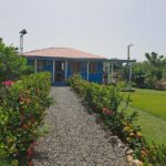 Sunset Horseback Riding Tour in Punta Cana (Private Option) - The Details of the Experience