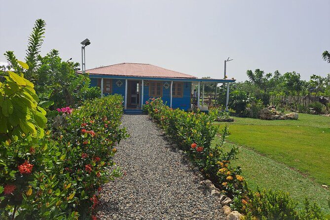 Sunset Horseback Riding Tour in Punta Cana (Private Option) - The Details of the Experience