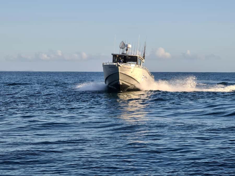 Sunshine Coast: Fishing Charters - The Quality of the Experience