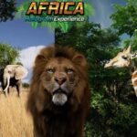 Sunshine Coast: Hologram Zoo Africa Adventure - What to Expect: A Step-by-Step Breakdown