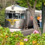Sunshine Coast:Silver Bullet High Tea at Mary Valley Rattler - The Heritage Silver Bullet Railmotor