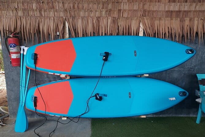 SUP Boarding in the Bay - Practical Details and Value