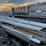 Super Express Nara & Kyoto Private 1-Day Tour from Tokyo - Who Should Consider This Tour?