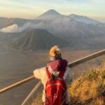 Surabaya/ Malang: Mount Bromo & Ijen Tour with Bali drop-off - Who Will Love This Tour?