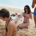 Swimming Pigs & Tour with Transportation to Rose Island - What to Watch Out For