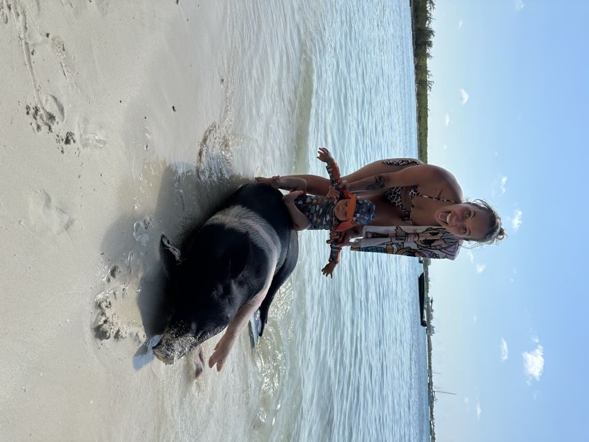 Swimming with the pigs, turtles and reef snorkeling!!! - Transport, Duration, and Practical Details