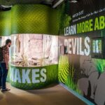 Sydney: Combo Pass for 2, 3, or 4 Top City Attractions - Detailed Breakdown of Each Attraction