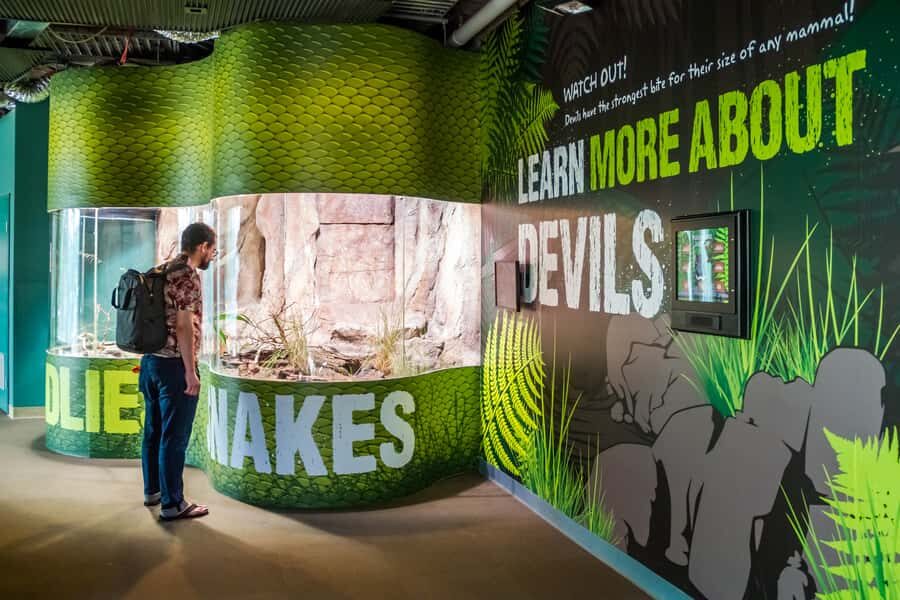 Sydney: Combo Pass for 2, 3, or 4 Top City Attractions - Detailed Breakdown of Each Attraction