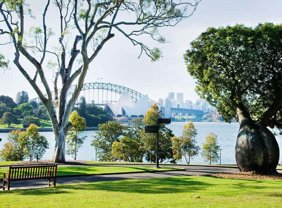 Sydney: Guided City Walk with Picnic Lunch - What To Expect During the Walk