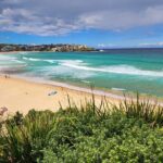 Sydney Private Tour 2 Hour Half Day Full Day and City Lights - Final Thoughts