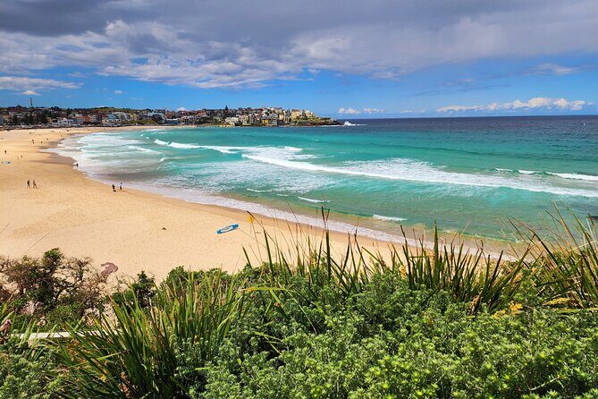 Sydney Private Tour 2 Hour Half Day Full Day and City Lights - Final Thoughts