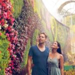 Sydney Private Tour & Pick up & Drop off - Why This Tour Offers Great Value