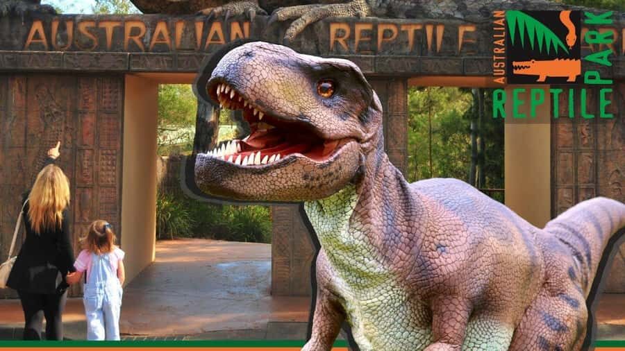 Sydney: Reptile Park and Avoca Beach Day Trip with Entry - The Australian Reptile Park: A Wildlife Wonderland
