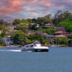 Sydney Wild Kangaroos and a Cruise: A Private Wildlife Adventure - Price and Value Analysis