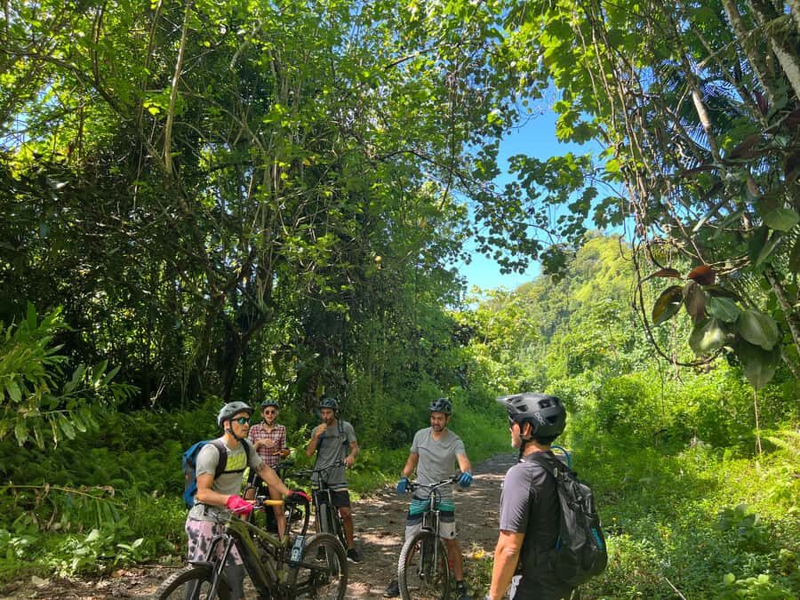 Tahiti E-bike, mtb, vtt Tour with Swimming and Lunch - Detailed Breakdown of the Itinerary