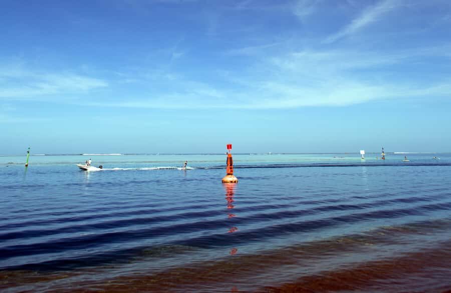 Tahiti: Private Half Day Culture and Nature Highlights Tour - Practical Details and Tips