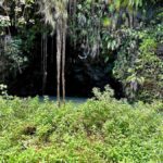 Tahiti : Tour de lîle (Full Day) avec Parapente - The Transition to Land: Exploring Tahiti’s Treasures