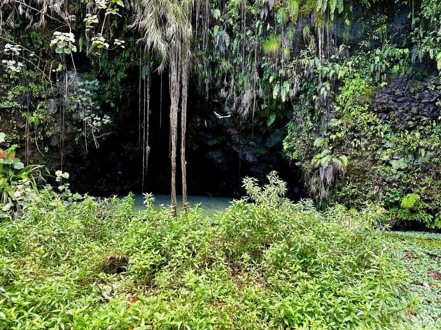 Tahiti : Tour de lîle (Full Day) avec Parapente - The Transition to Land: Exploring Tahiti’s Treasures