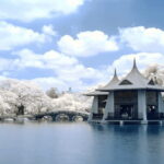 Taichung City: Sightseeing Walking Tour with a Local Guide - Why This Tour Is Worth Considering