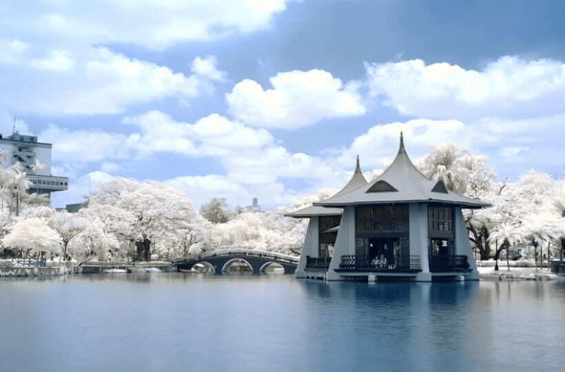 Taichung City: Sightseeing Walking Tour with a Local Guide - Why This Tour Is Worth Considering