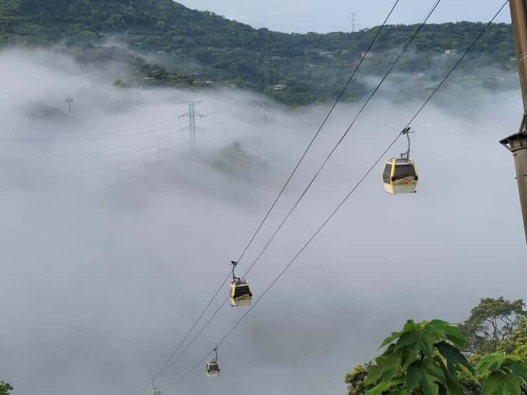 Taipei: Maokong Gondola & Zoo Combo Ticket with Train - Discovering Taipei Zoo: A Close-Up of Nature and Conservation