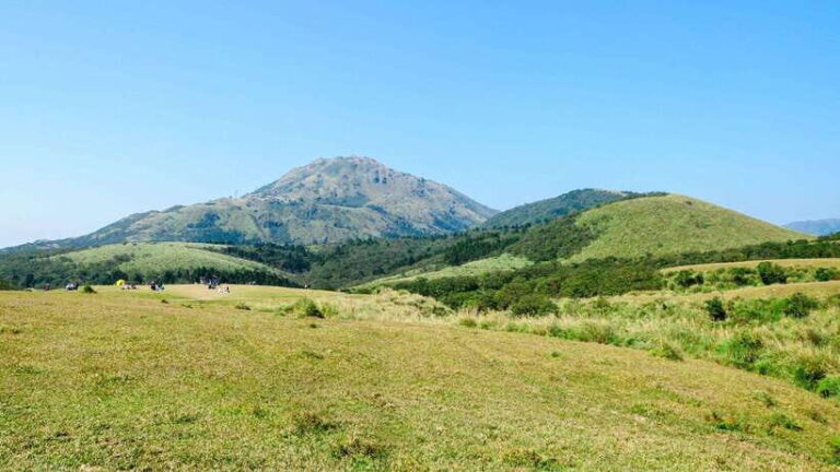 Taipei: Yangmingshan National Park Half-Day Tour - Who Will Love This Tour?