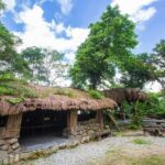 Taitung: Luan Mountain Forest Museum Guided Tour - A Thorough Breakdown of the Itinerary