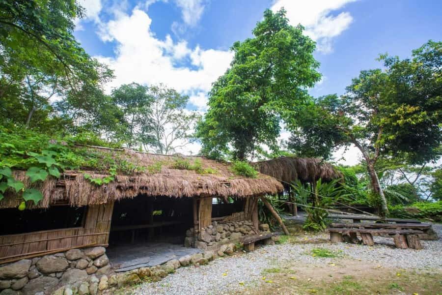 Taitung: Luan Mountain Forest Museum Guided Tour - A Thorough Breakdown of the Itinerary