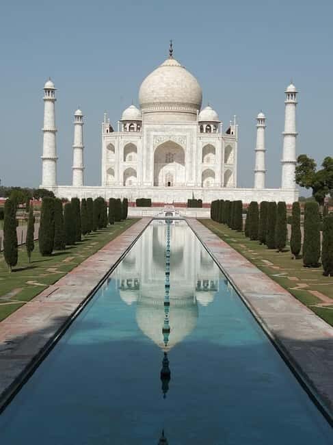 Taj Mahal and SOS Sanctuary: A Memorable Day from Delhi - An In-Depth Look at the Tour Experience