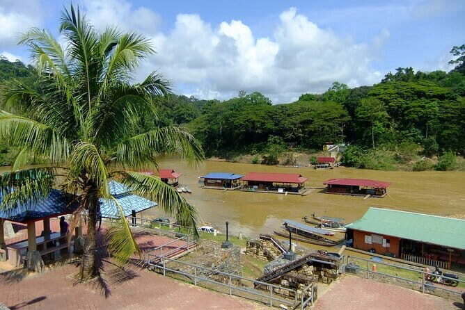 Taman Negara National Park Day Excursion from Kuala Lumpur PVT - The Practicalities: What’s Included and What’s Not