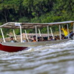 Taman Negara National Park Day Excursion with Canopy Walk from KL - Transportation and Group Size