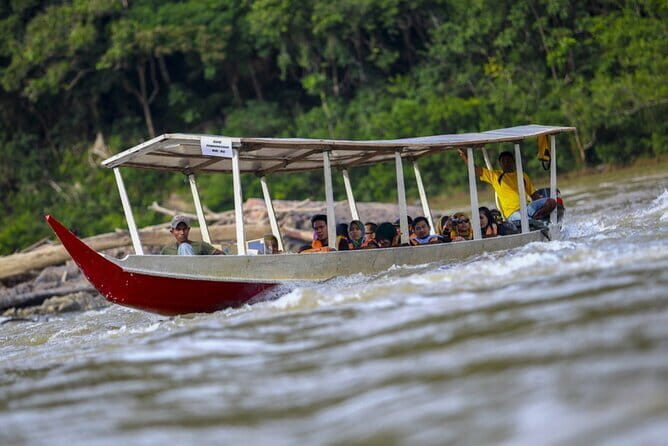 Taman Negara National Park Day Excursion with Canopy Walk from KL - Transportation and Group Size