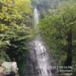 Taman Safari and Tea Plantation Tour at Puncak - Value and Practical Tips