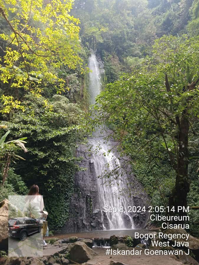 Taman Safari and Tea Plantation Tour at Puncak - Value and Practical Tips