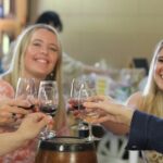 Tamborine Explorer from Brisbane - Who Should Consider This Tour?